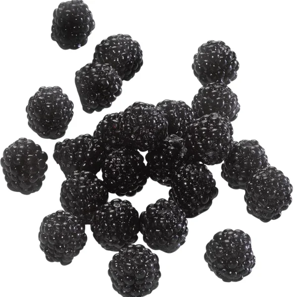 Obst & Früchte^DecoWoerner Brombeeren Lebensmittel-Attrappe, 24 Stück schwarz