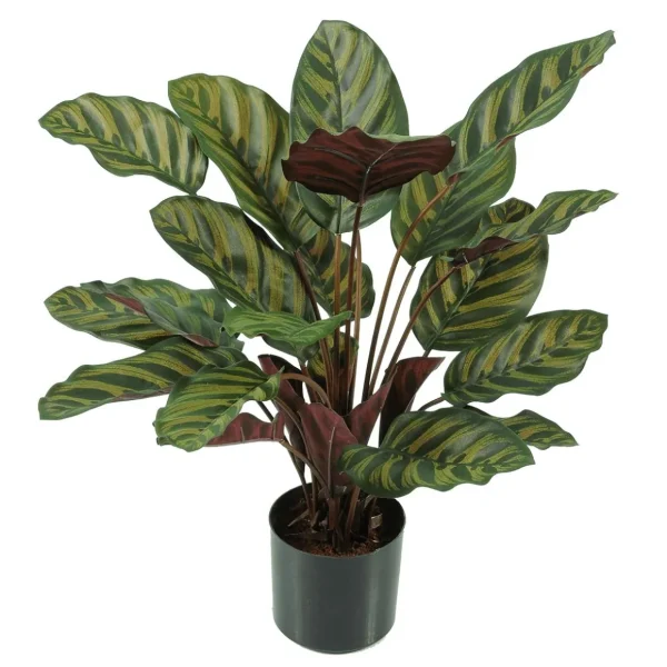 Grünpflanzen | Schwer Entflammbare Kunstpflanzen^DecoWoerner Calathea Kunstpflanze Im Topf Schwer Entflammbar B1 grün