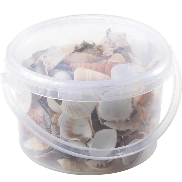 Streudeko | Sommerdeko^DecoWoerner Deko Muscheln Und Schnecken, 1400 G mehrfarbig