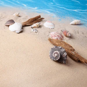 Streudeko | Sommerdeko^DecoWoerner Deko Muscheln Und Schnecken, 1400 G mehrfarbig