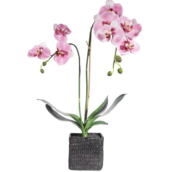 Zimmerpflanzen | Kunstblumen^DecoWoerner Deko Orchidee Im Topf 80 Cm rosa