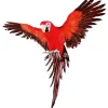Dekotiere | Sommerdeko^DecoWoerner Deko Papagei 77 Cm Lang rot
