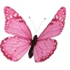 Frühlingsdeko^DecoWoerner Deko-Schmetterling Pink, 50 Cm rosa