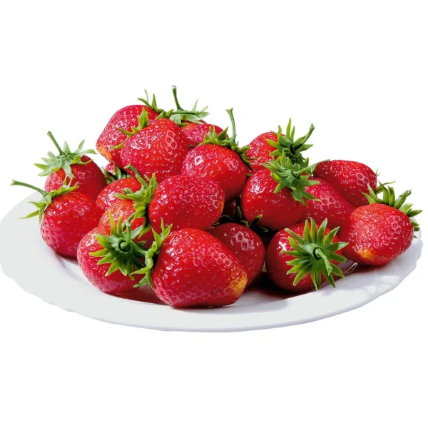Obst & Früchte^DecoWoerner Erdbeeren Lebensmittel-Attrappen 24 Stück rot