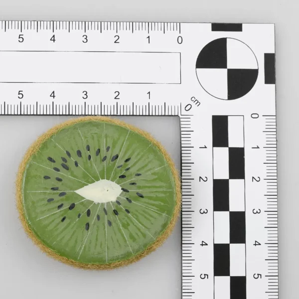 Obst & Früchte^DecoWoerner Kiwi Scheiben Lebensmittel-Attrappe, 5 Stück grün