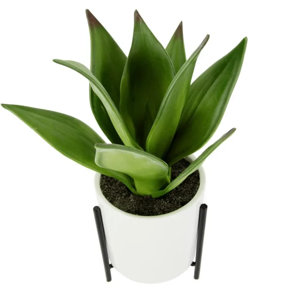 Zimmerpflanzen^DecoWoerner Künstliche Succulente Im Weißen Topf 27 Cm grün