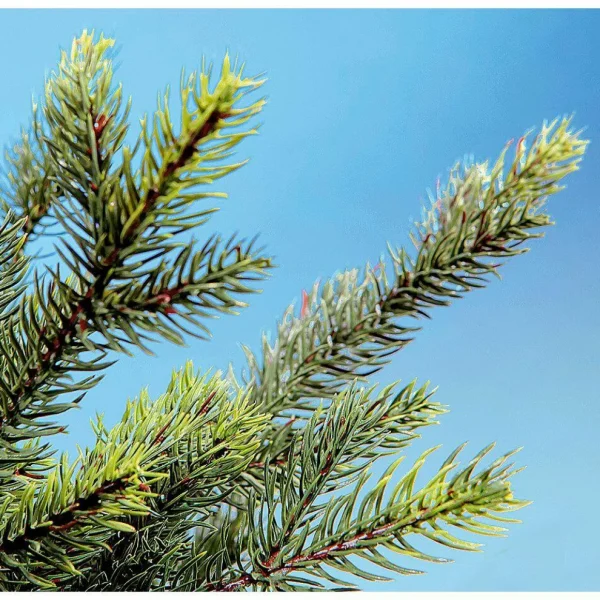 Künstliche Weihnachtsbäume^DecoWoerner Künstlicher Christbaum Douglastanne Mit LED 210 Cm grün