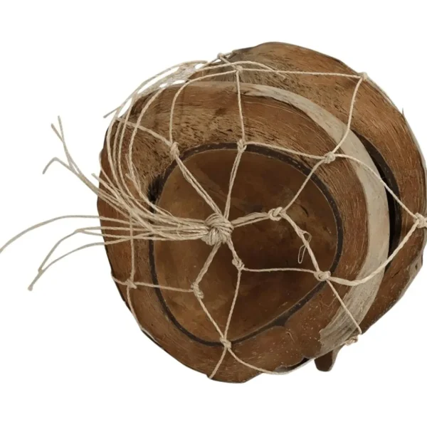 Naturdeko | Sommerdeko^DecoWoerner Kokosnusshälften 20 Cm Ø, 2 Stück braun