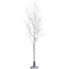 Winterdeko | Kunstbäume^DecoWoerner Kunstbaum Birke Ohne Blätter, 200 Cm weiß