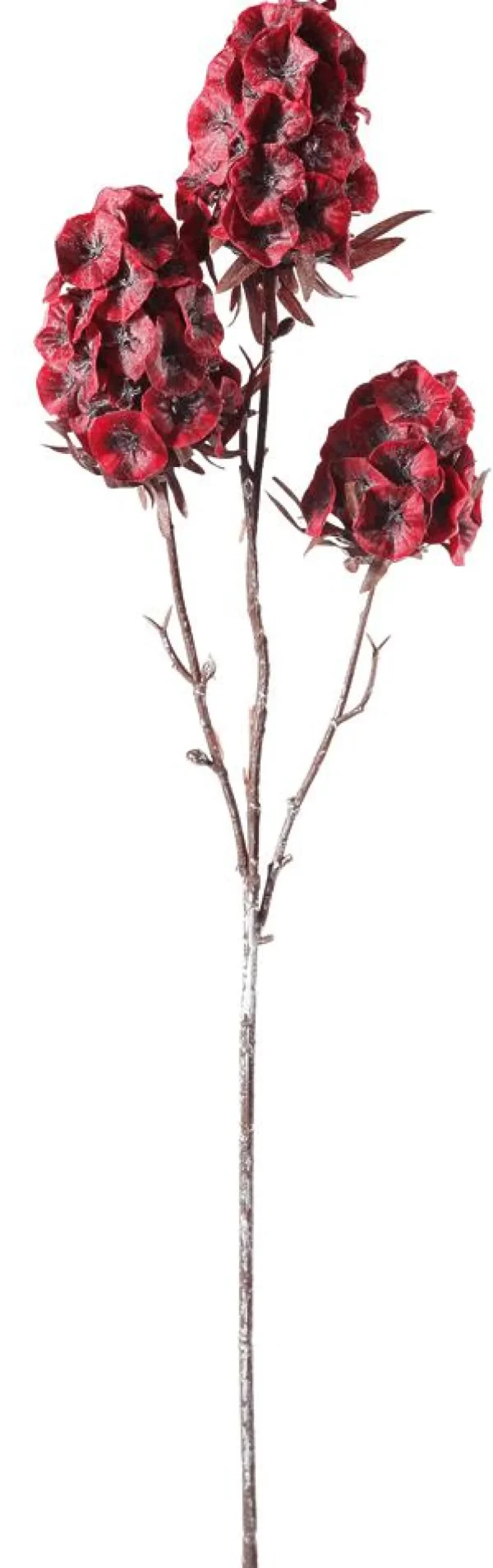 Frühlingsdeko | Kunstblumen^DecoWoerner Kunstblume Scabiosa 49 Cm rot