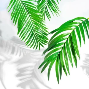 Sommerdeko | Blätter^DecoWoerner Kunstpalmen-Areca-Wedel, 98 Cm grün