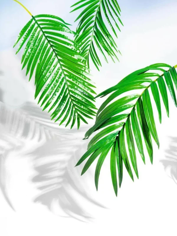 Sommerdeko | Blätter^DecoWoerner Kunstpalmen-Areca-Wedel, 98 Cm grün
