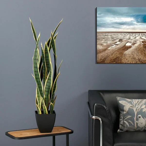 Zimmerpflanzen^DecoWoerner Kunstpflanze Bogenhanf 85 Cm grün