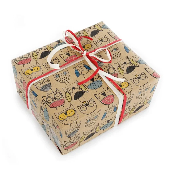 Geschenkpapier | Go Green - Nachhaltige Geschenkverpackung^DecoWoerner Recyceltes Kraftpapier Mit Bunten Eulen – 50 M Geschenkpapier-Rolle mehrfarbig