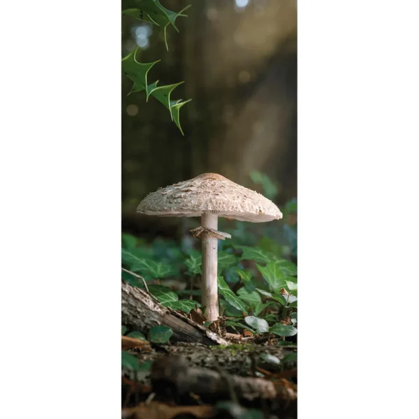Herbstdeko | Herbst-Banner^DecoWoerner Schwer Entflammbarer Stoffbanner "Großer Pilz" Aus Fahnenstoff 75 X 180 Cm braun
