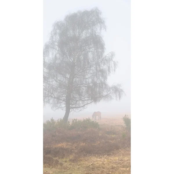 Themen-Deko | Herbstdeko^DecoWoerner Schwer Entflammbarer Stoffbanner "Herbstnebel" Aus Fahnenstoff 100 X 200 Cm Grau