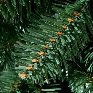 Künstliche Weihnachtsbäume^DecoWoerner Schwer Entflammbarer Weihnachtsbaum Mit LED 210 Cm grün