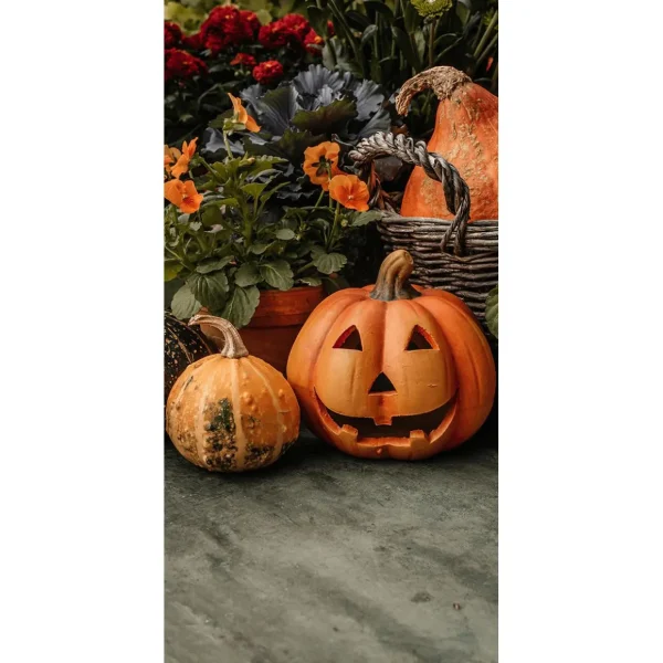 Themen-Deko | Herbst-Banner^DecoWoerner Stoffbanner Kürbis Halloween 100 X 200 Cm orange