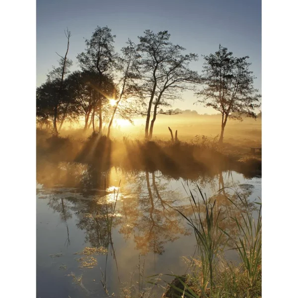 Herbst-Banner^DecoWoerner XL-Stoffbanner "Herbstnebel" Aus Schwer Entflammbarem Fahnenstoff 150 X 200 Cm