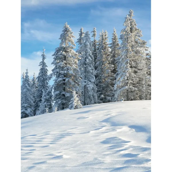Xxl-Banner | Winterdeko^DecoWoerner XL-Stoffbanner "Verschneiter Tannenwald" Aus Schwer Entflammbarem Fahnenstoff 150 X 200 Cm weiß