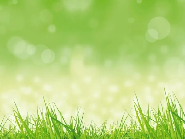 Frühlingsbanner | Xxl-Banner^DecoWoerner XXL-Planenbanner "Frühlingsgras" Aus Schwer Entflammbarer LKW-Plane 250 X 330 Cm grün