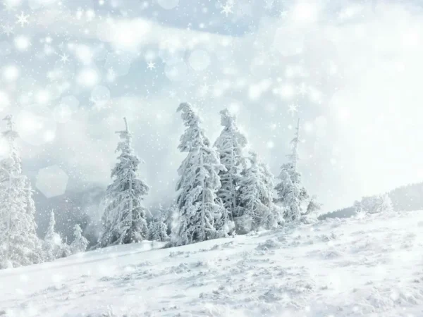 Xxl-Banner | Winterdeko^DecoWoerner XXL-Planenbanner "Schneelandschaft" Aus Schwer Entflammbarer LKW-Plane 250 X 330 Cm weiß